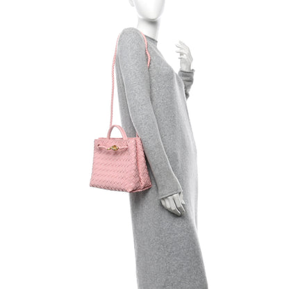Bottega Veneta Nappa Intrecciato Small Andiamo Shoulder Bag Lotus 2 of 9