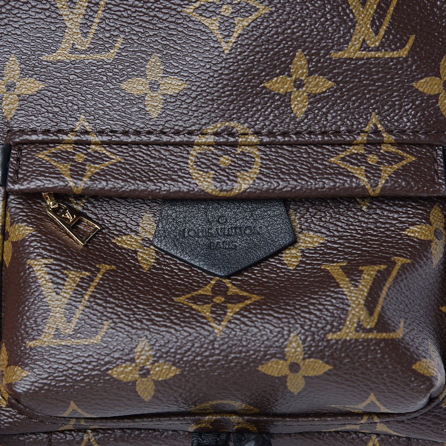 Monogram Palm Springs Backpack Mini