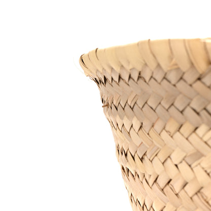 Celine Raffia Calfskin Triomphe Medium Panier Tan 11 of 12