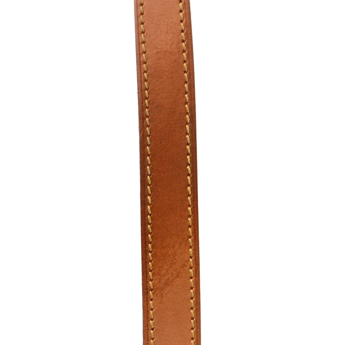 Monogram Cabas Mezzo