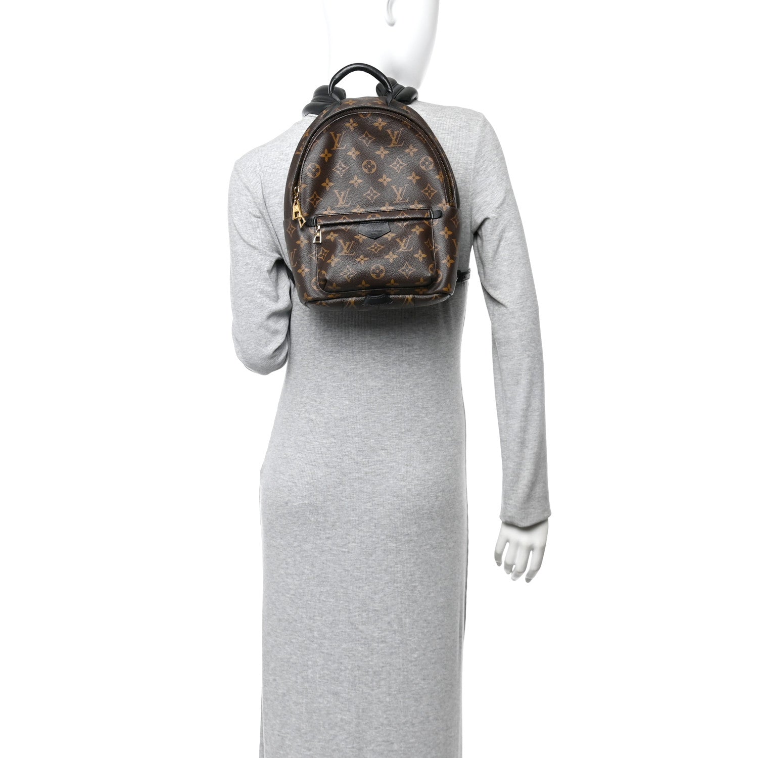 Louis Vuitton Monogram Palm Springs Backpack PM 2 of 9