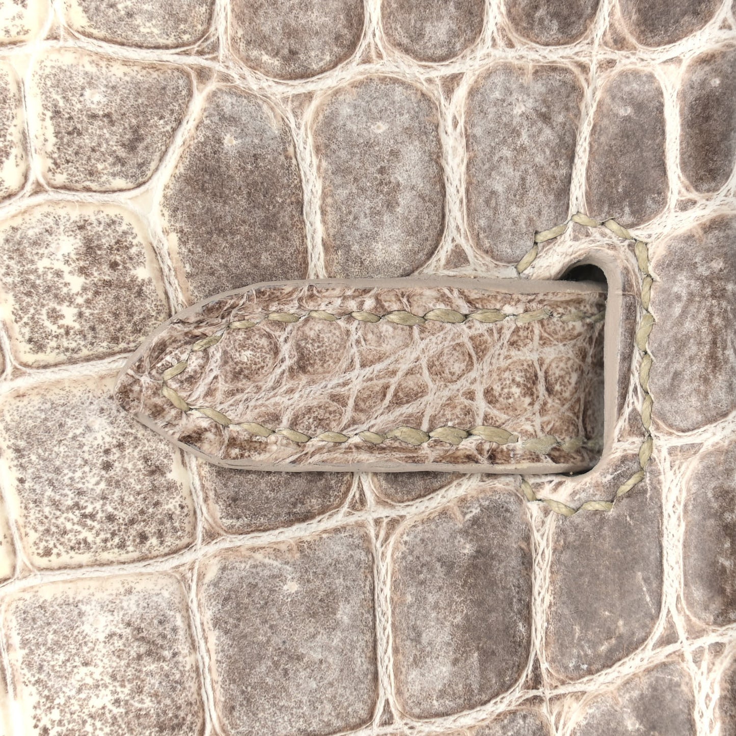 Matte Niloticus Crocodile Himalaya Birkin 25 Blanc