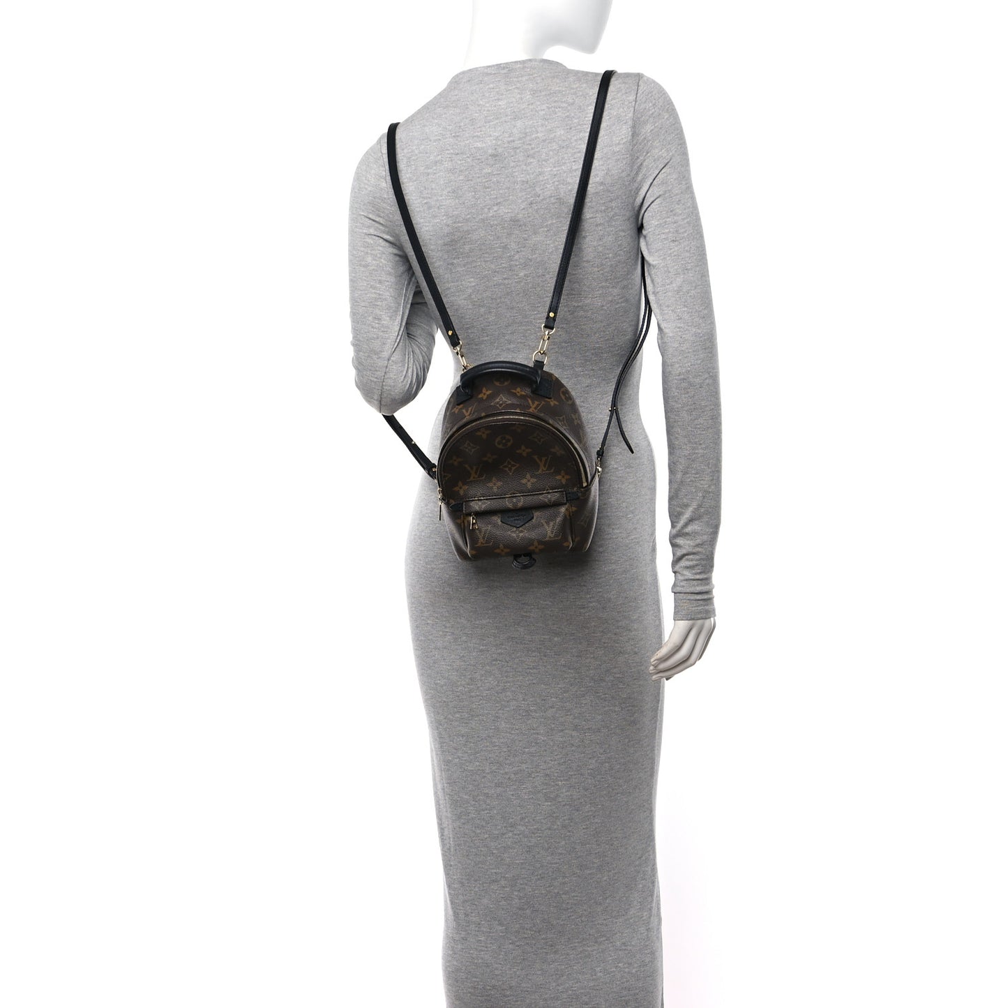 Monogram Palm Springs Backpack Mini