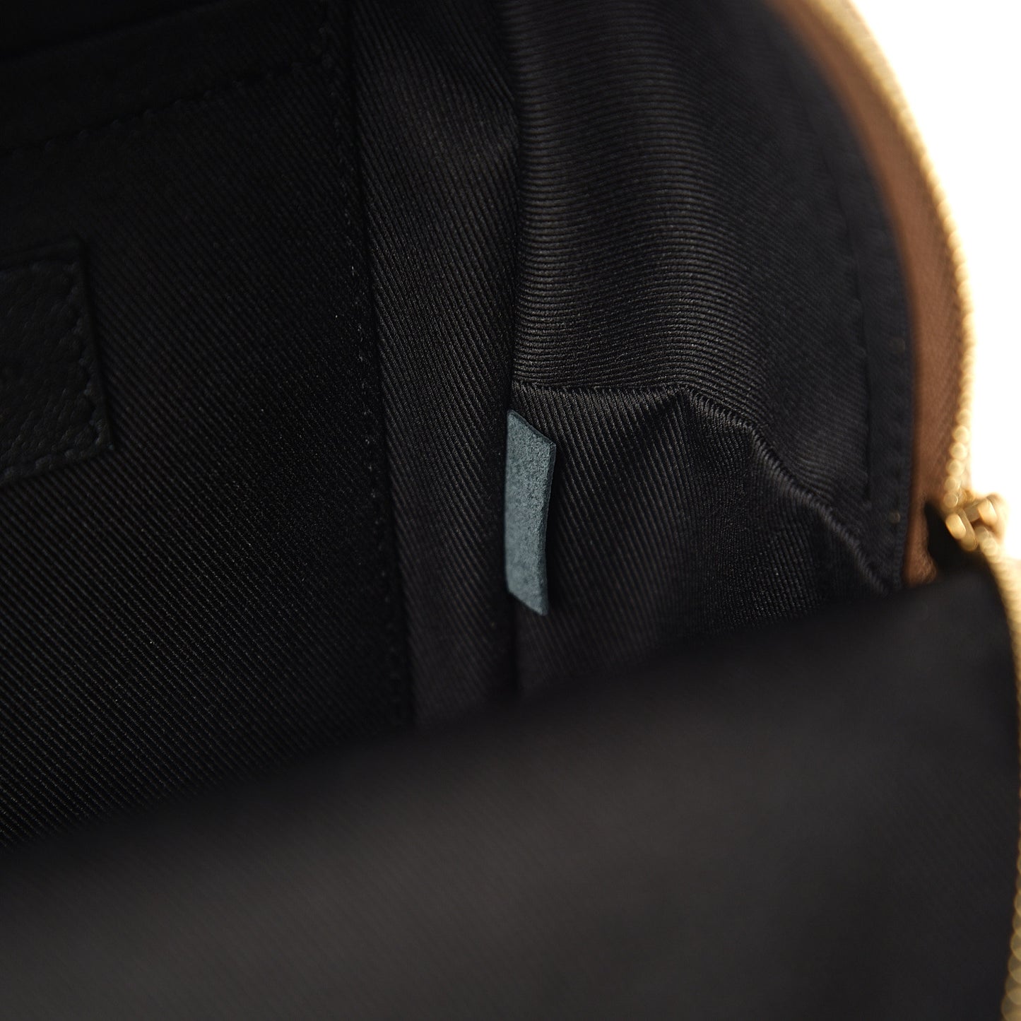 Reverse Monogram Palm Springs Backpack Mini