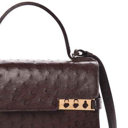 Delvaux Ostrich MM Tempete Satchel Brown 7 of 9