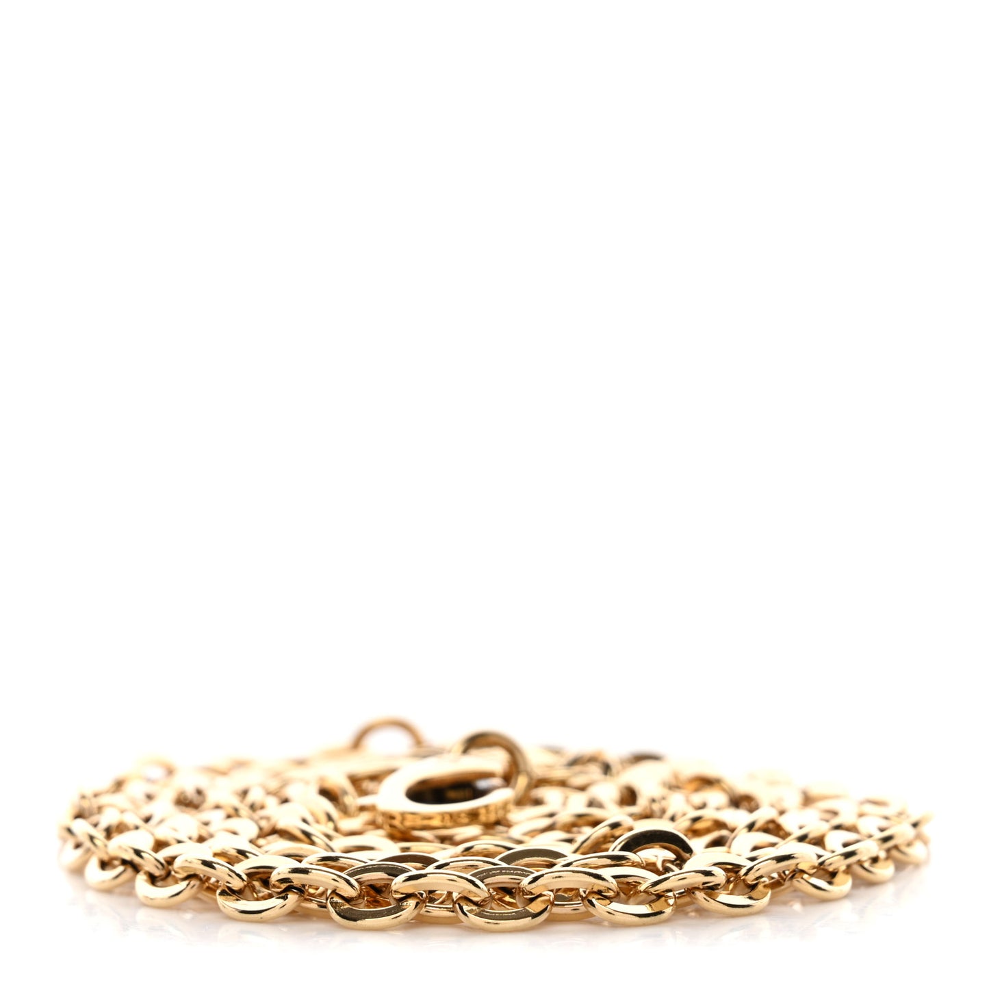 Felicie Chain Long Shoulder Strap