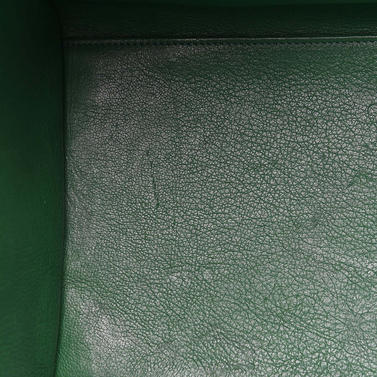 Celine Palmelato Mini Luggage Grass Green 16 of 18