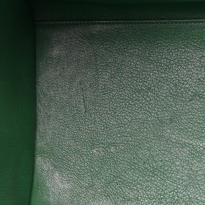 Celine Palmelato Mini Luggage Grass Green 16 of 18