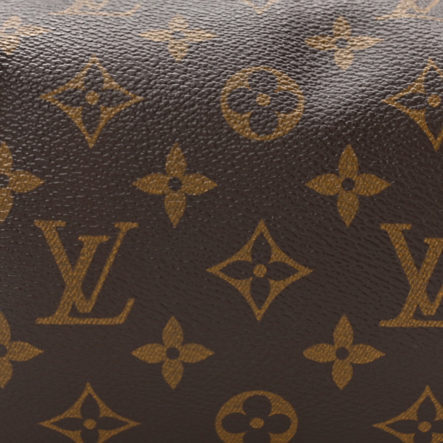 Monogram Papillon 30 with Companion