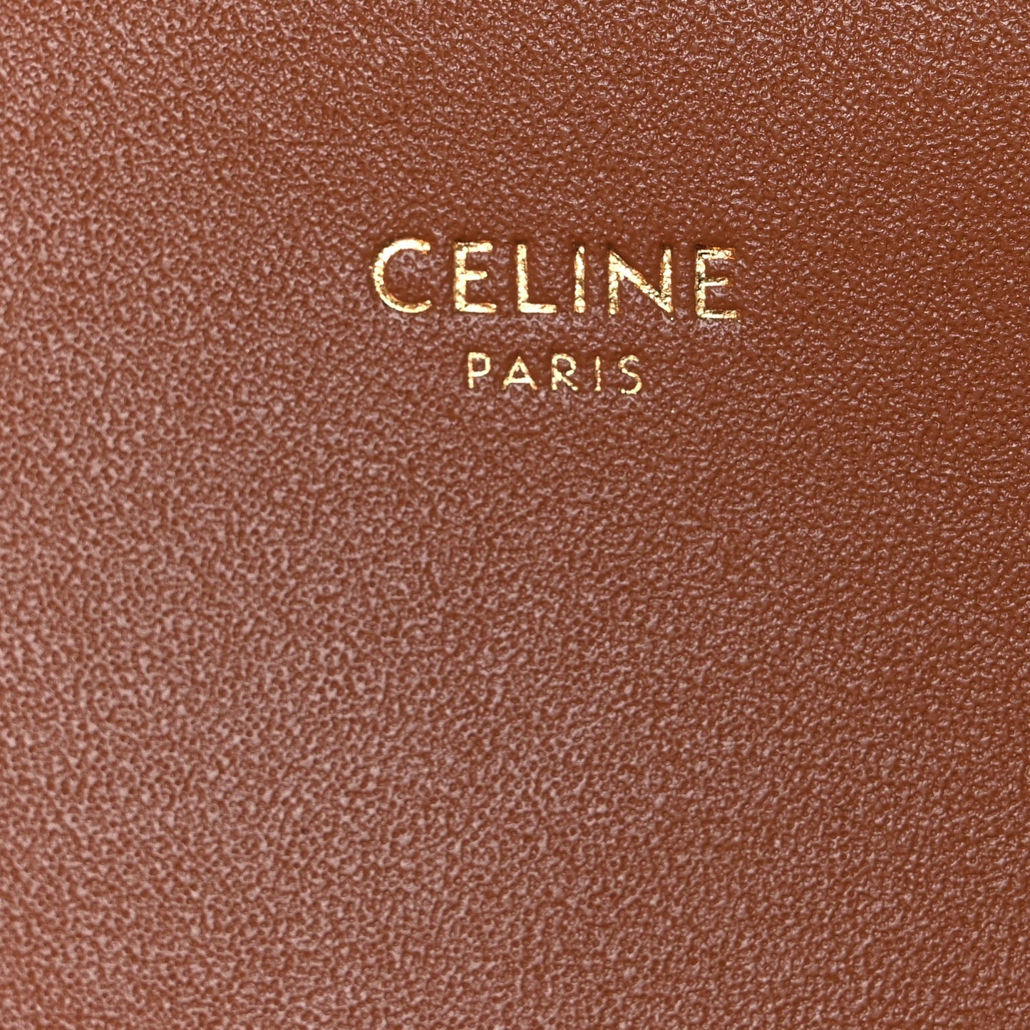 Calfskin Triomphe Canvas Teen Triomphe Bag Tan