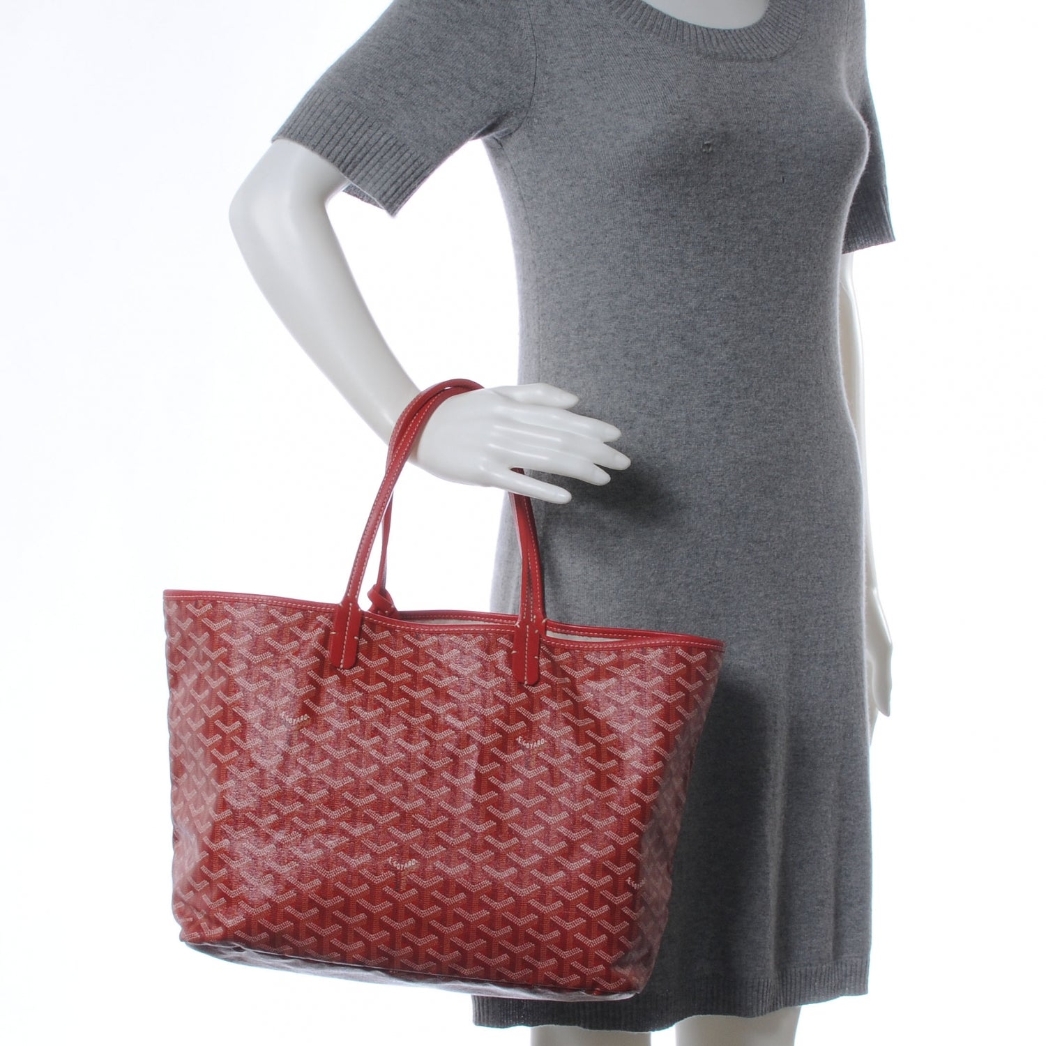 Goyard Goyardine Saint Louis PM Red 2 of 9