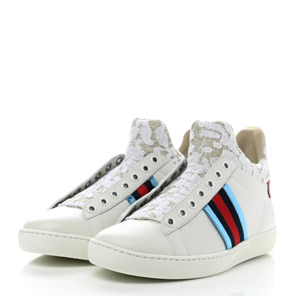 Gucci Calfskin Lace Ayers Sylvie Web New Womens Ace High Top Sneakers 35 White 3 of 9