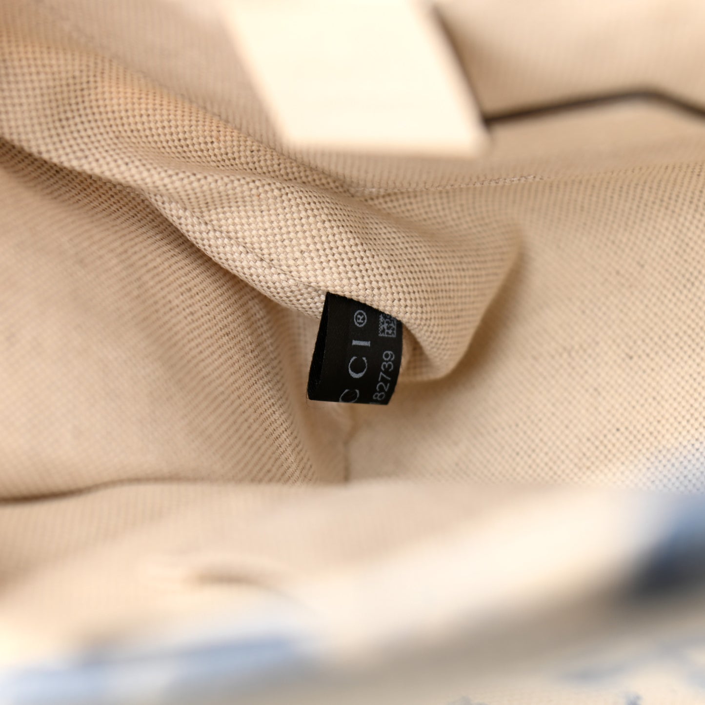 Canvas Herbarium Print Ribbon Top Handle Bag Blue