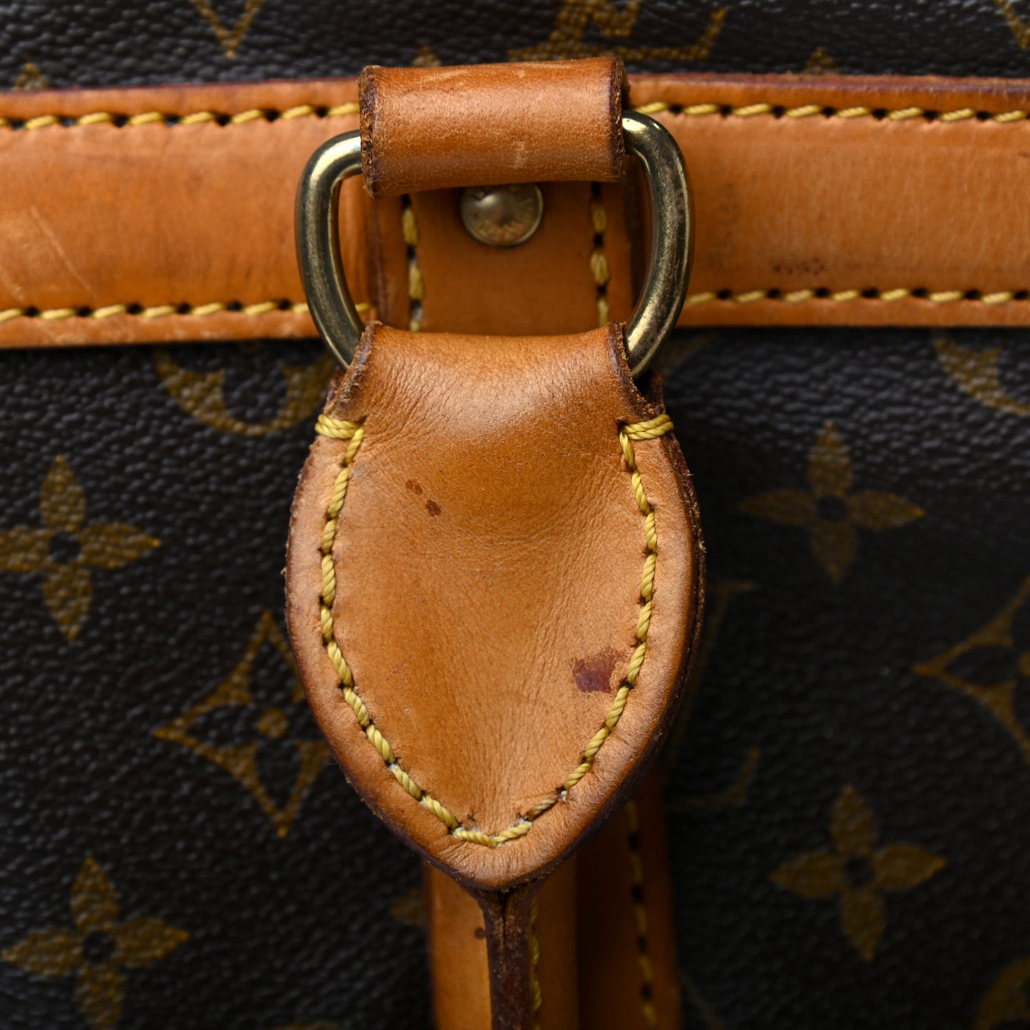 Monogram Sac Chien 40 Pet Carrier