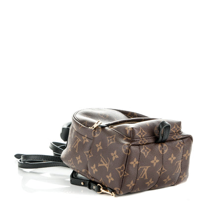 Louis Vuitton Monogram Palm Springs Backpack Mini 4 of 7