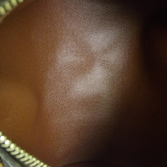 Monogram Papillon 26
