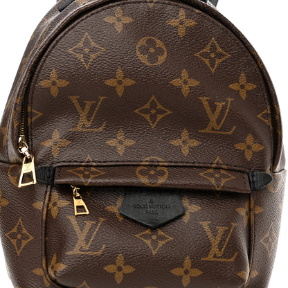 Louis Vuitton Monogram Palm Springs Backpack Mini 7 of 9