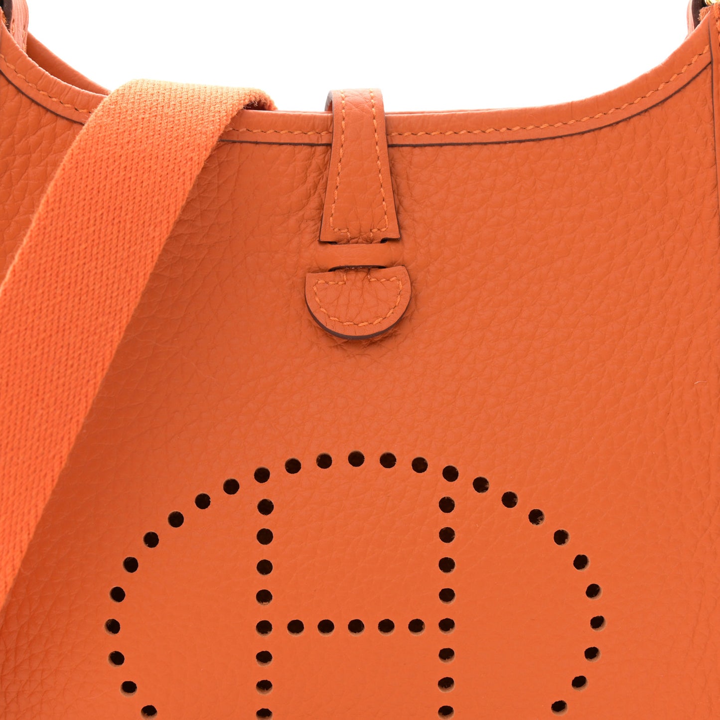 Taurillon Clemence Evelyne TPM Orange
