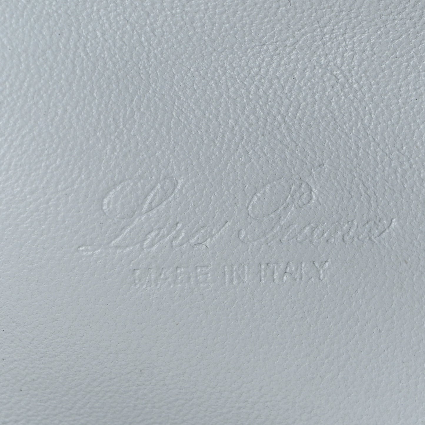 Grained Calfskin L19 Extra Pocket Pouch Minty Breeze