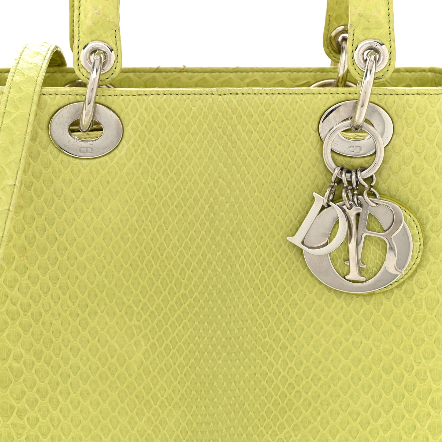 Snakeskin Medium Lady Dior Green