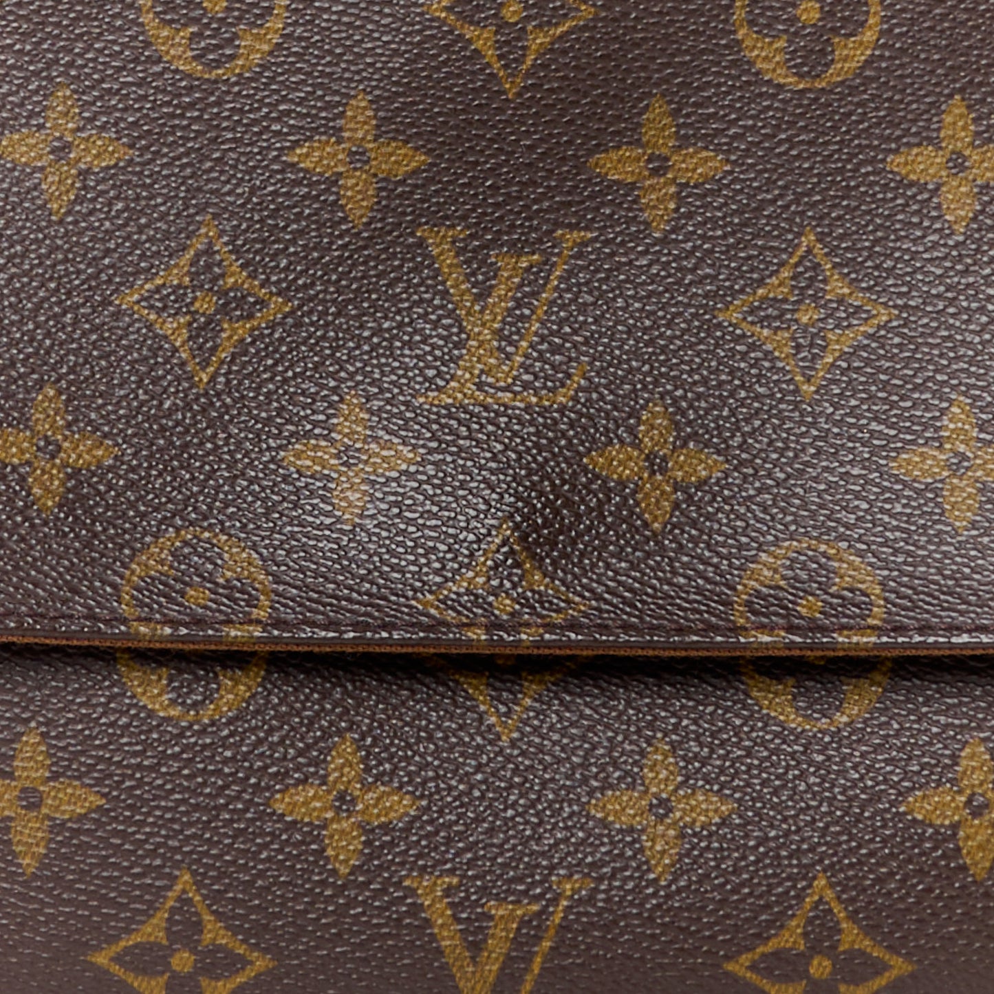 Monogram Mini Looping
