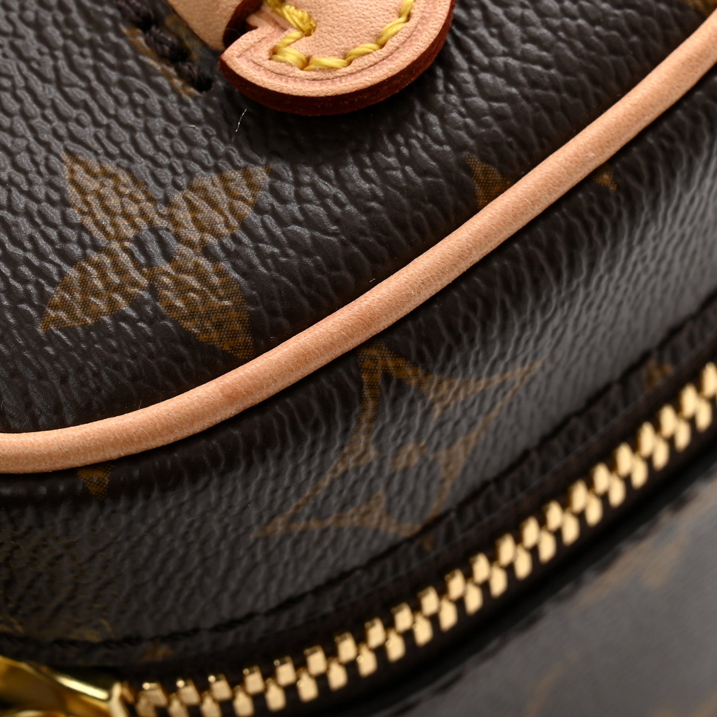 Monogram Nano Nice