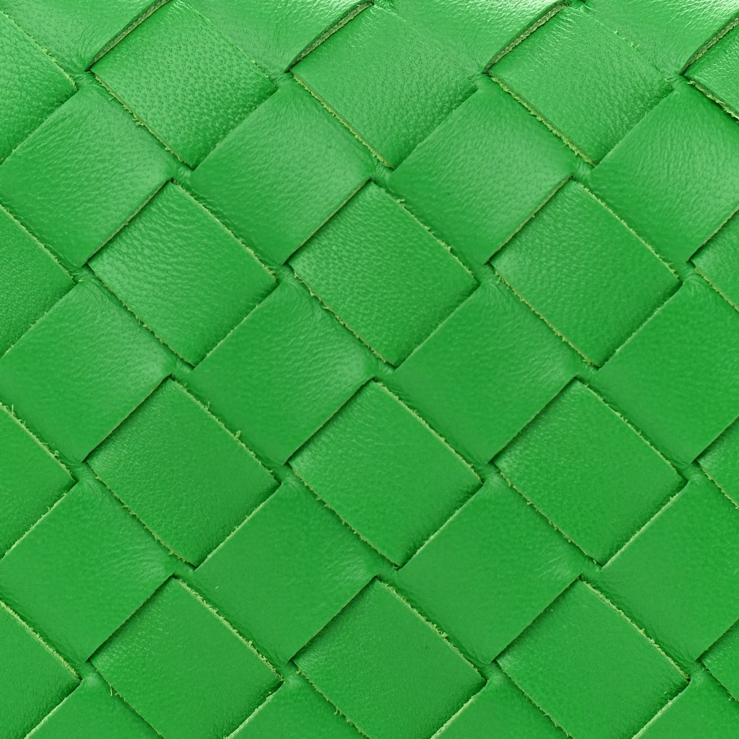 Nappa Intrecciato Mini Loop Camera Bag Parakeet