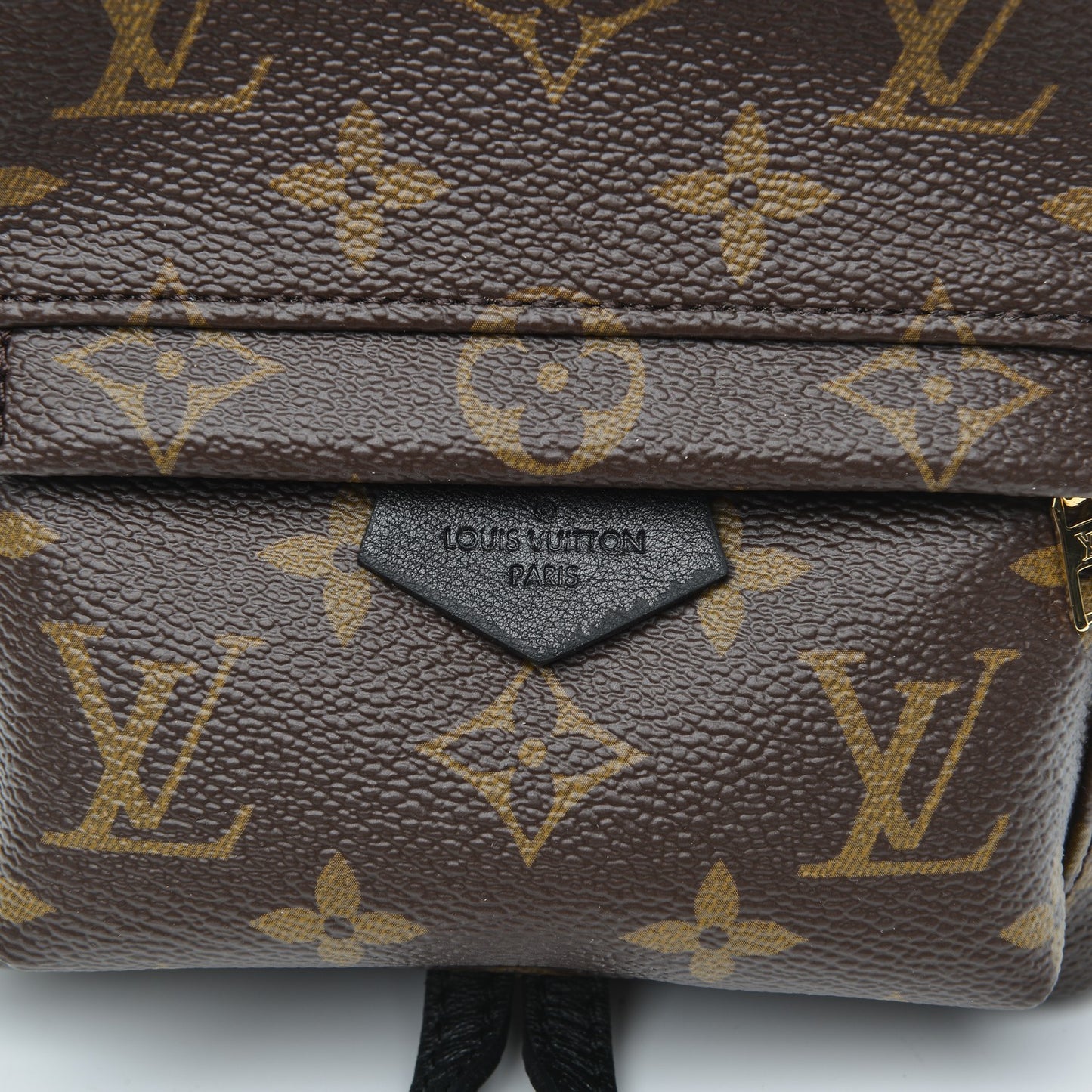 Monogram Palm Springs Backpack Mini