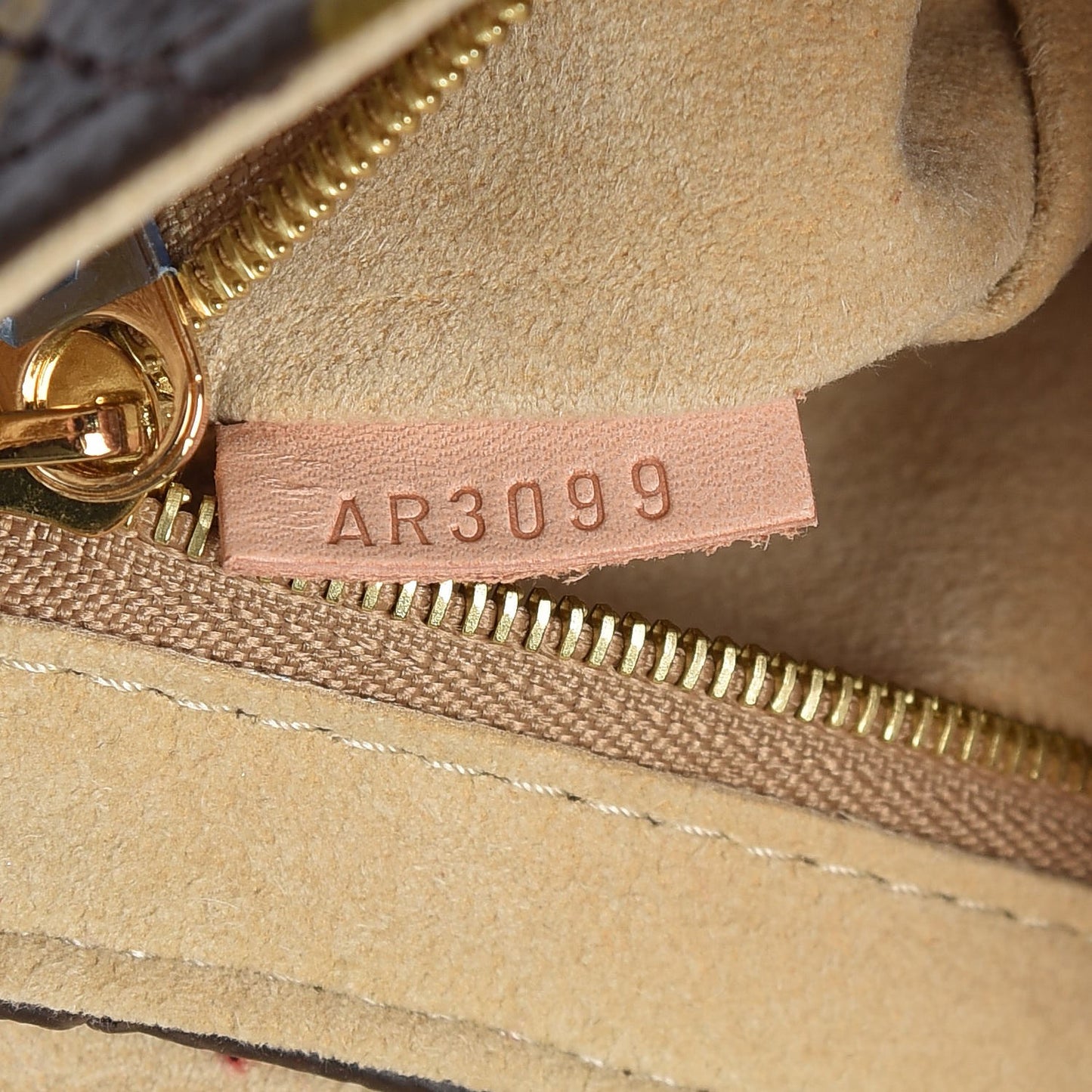 Monogram Etoile Clutch