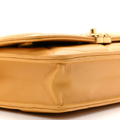 Chanel Lambskin Quilted Chanel 19 Wallet On Chain WOC Yellow 10 of 14