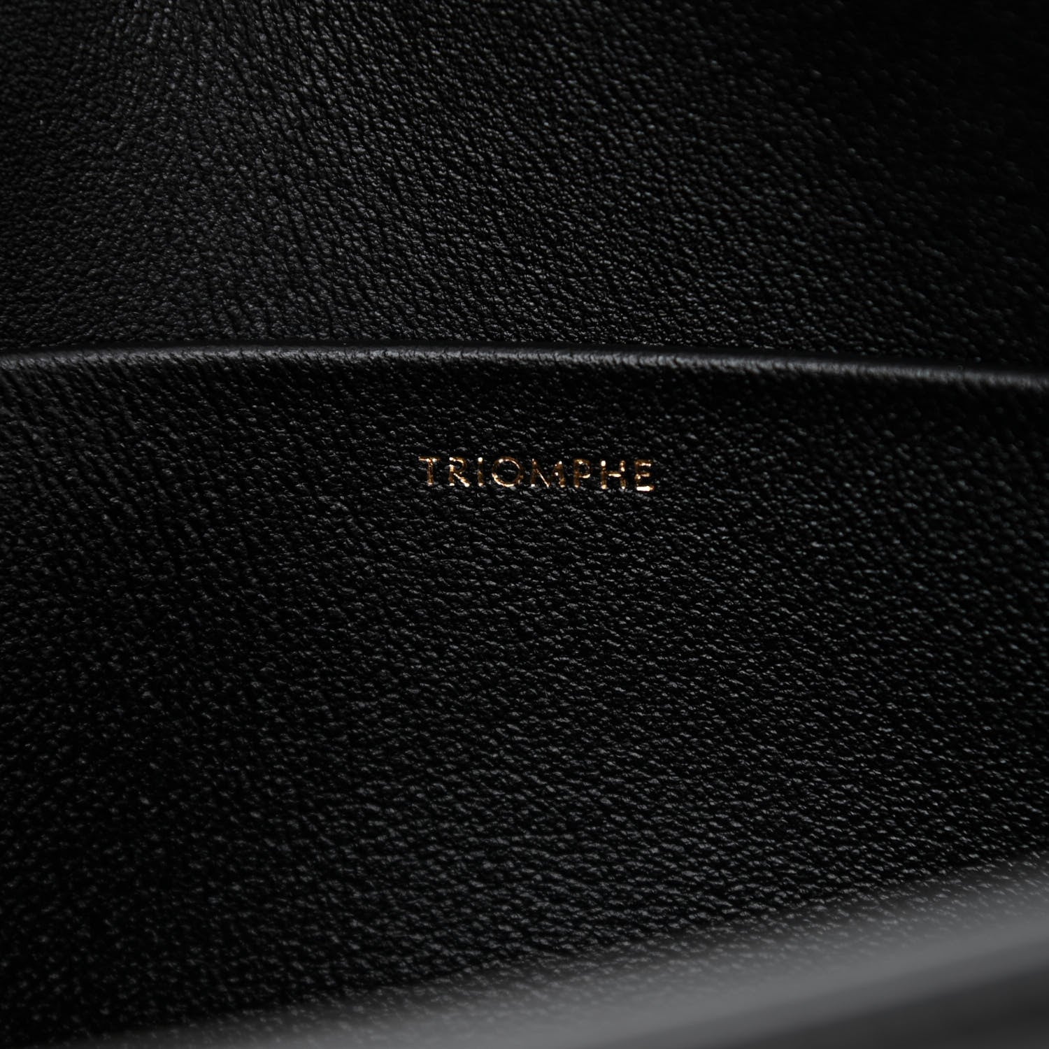 Celine Shiny Calfskin Triomphe Shoulder Bag Black 7 of 9