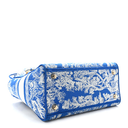 Christian Dior Canvas Toile De Jouy Reverse Embroidered Medium Lady D-Lite Fluorescent Blue 4 of 9