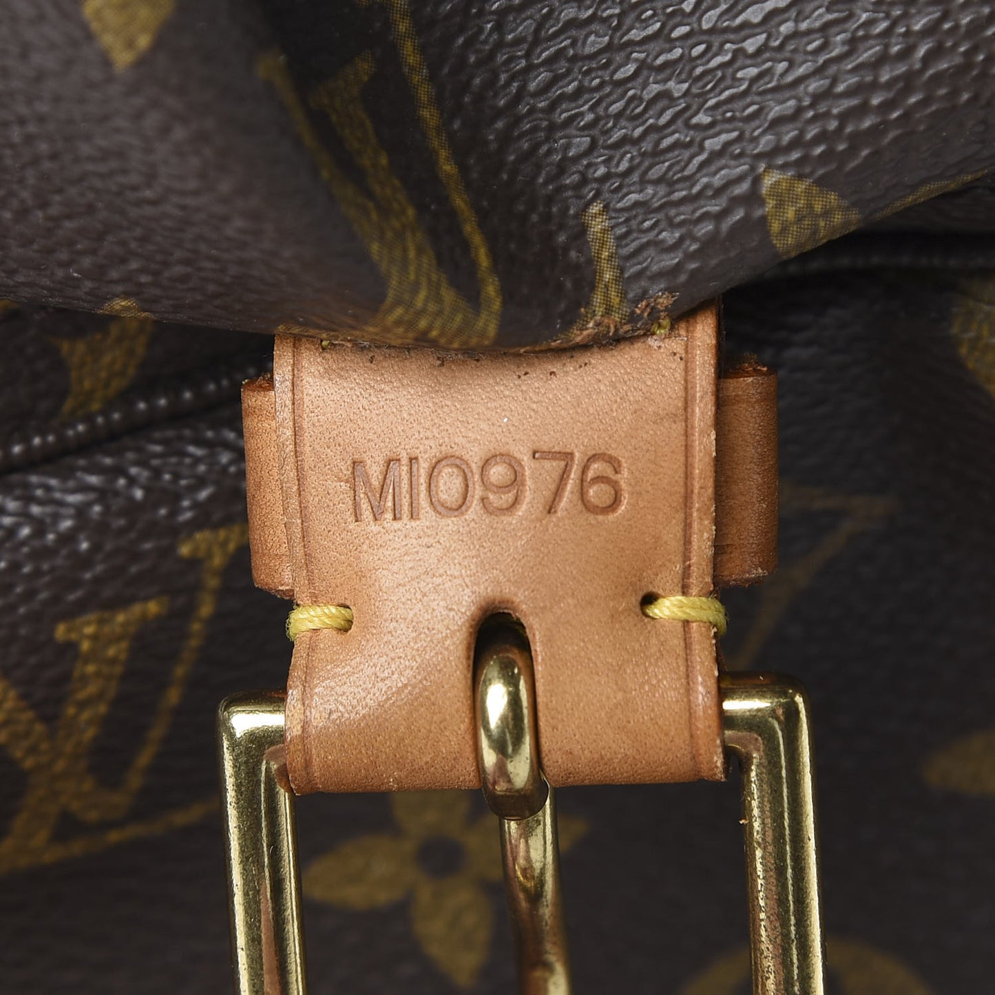 Monogram Montsouris GM Backpack