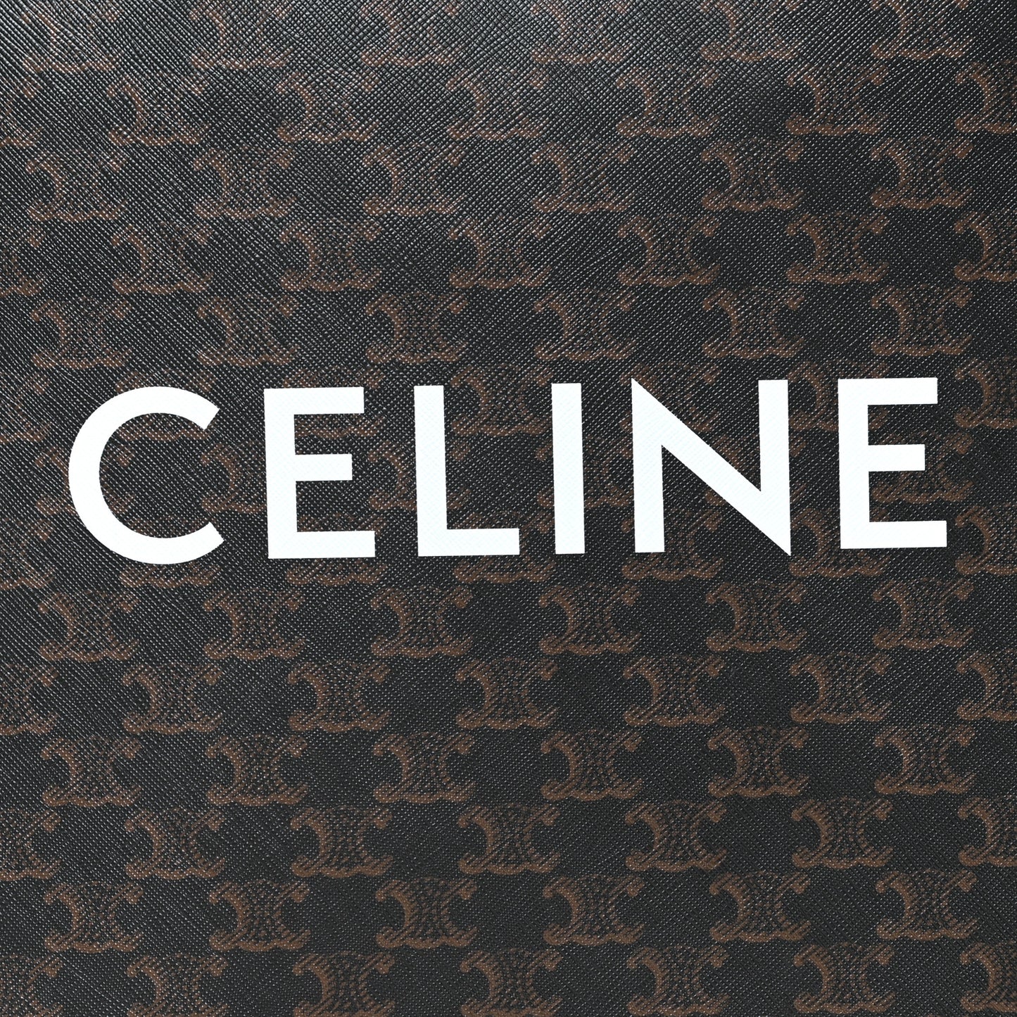 Triomphe Canvas Calfskin Small Vertical Cabas Tan