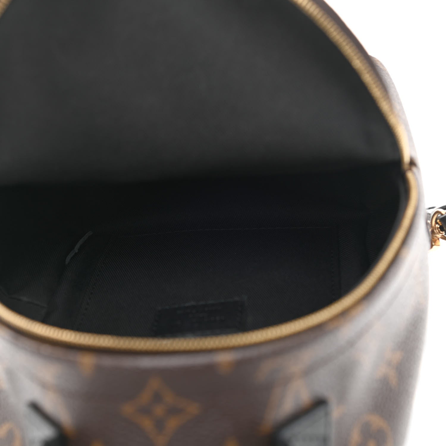 Louis Vuitton Monogram Palm Springs Backpack Mini 5 of 12
