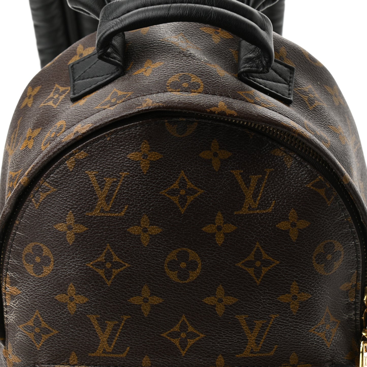 Monogram Palm Springs Backpack PM