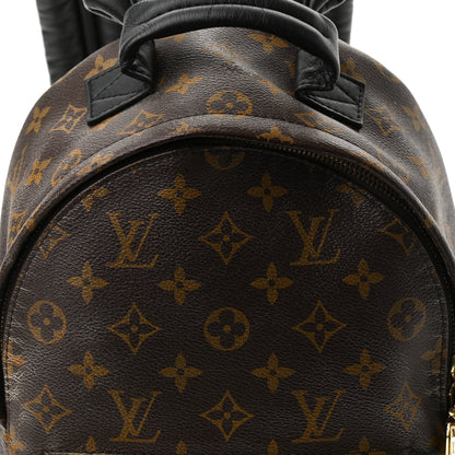 Louis Vuitton Monogram Palm Springs Backpack PM 7 of 9