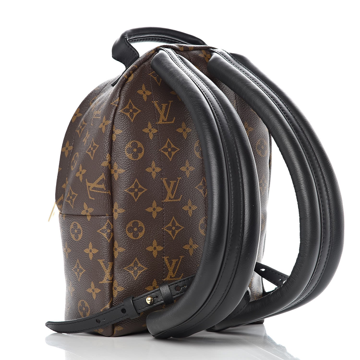 Louis Vuitton Monogram Palm Springs Backpack PM 3 of 9
