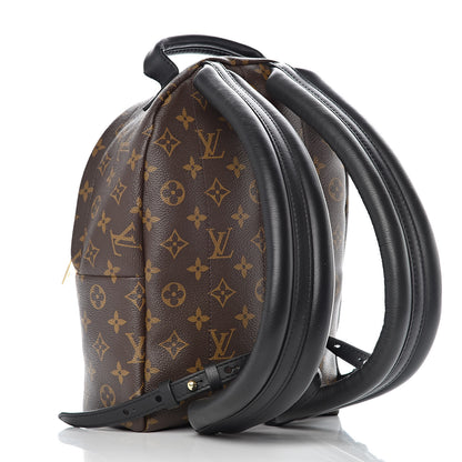 Louis Vuitton Monogram Palm Springs Backpack PM 3 of 9