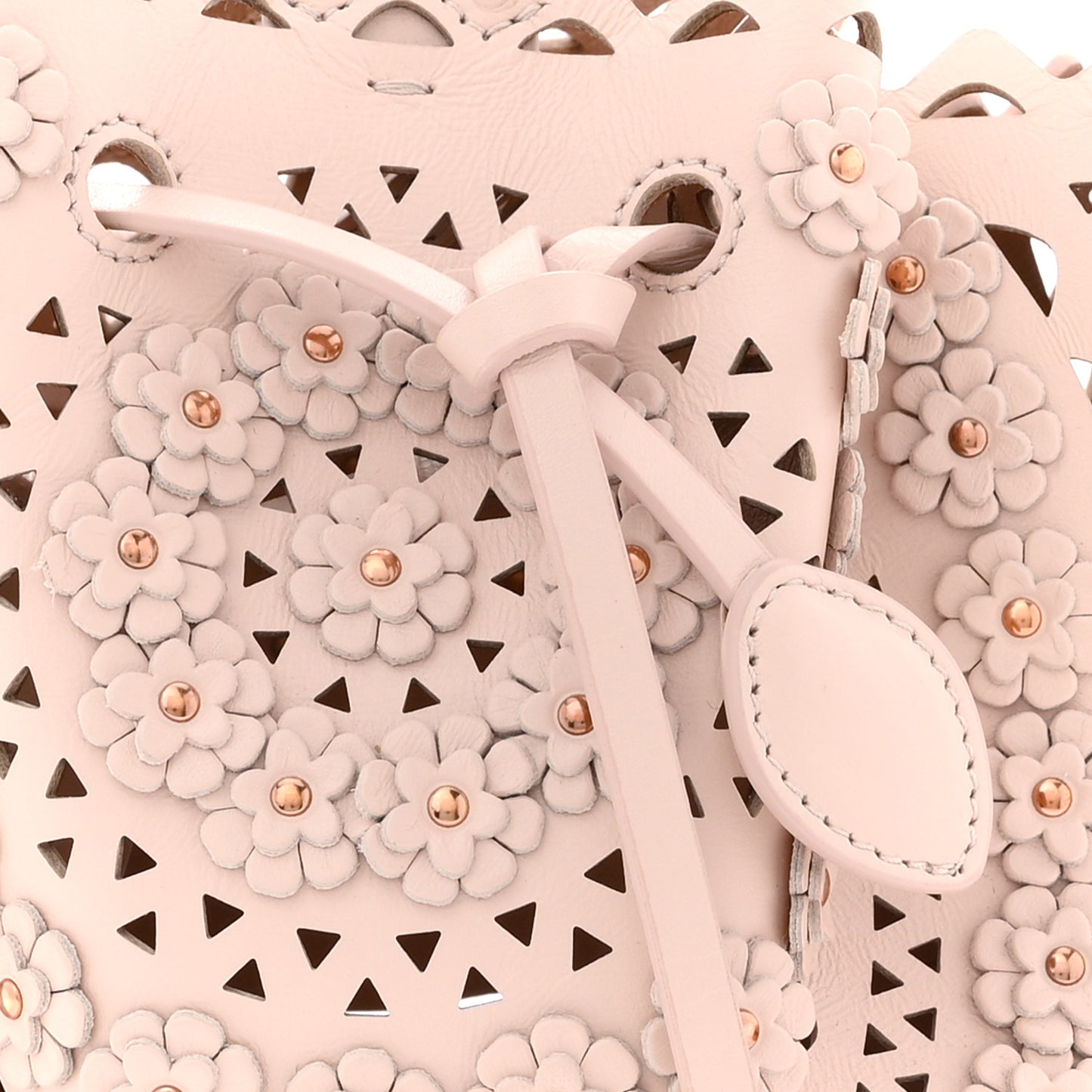 Calfskin Laser Cut Floral Studded Rose-Marie 19 Bag Sable