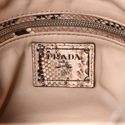 Prada Fox Fur Snakeskin Chain Bag 6 of 10