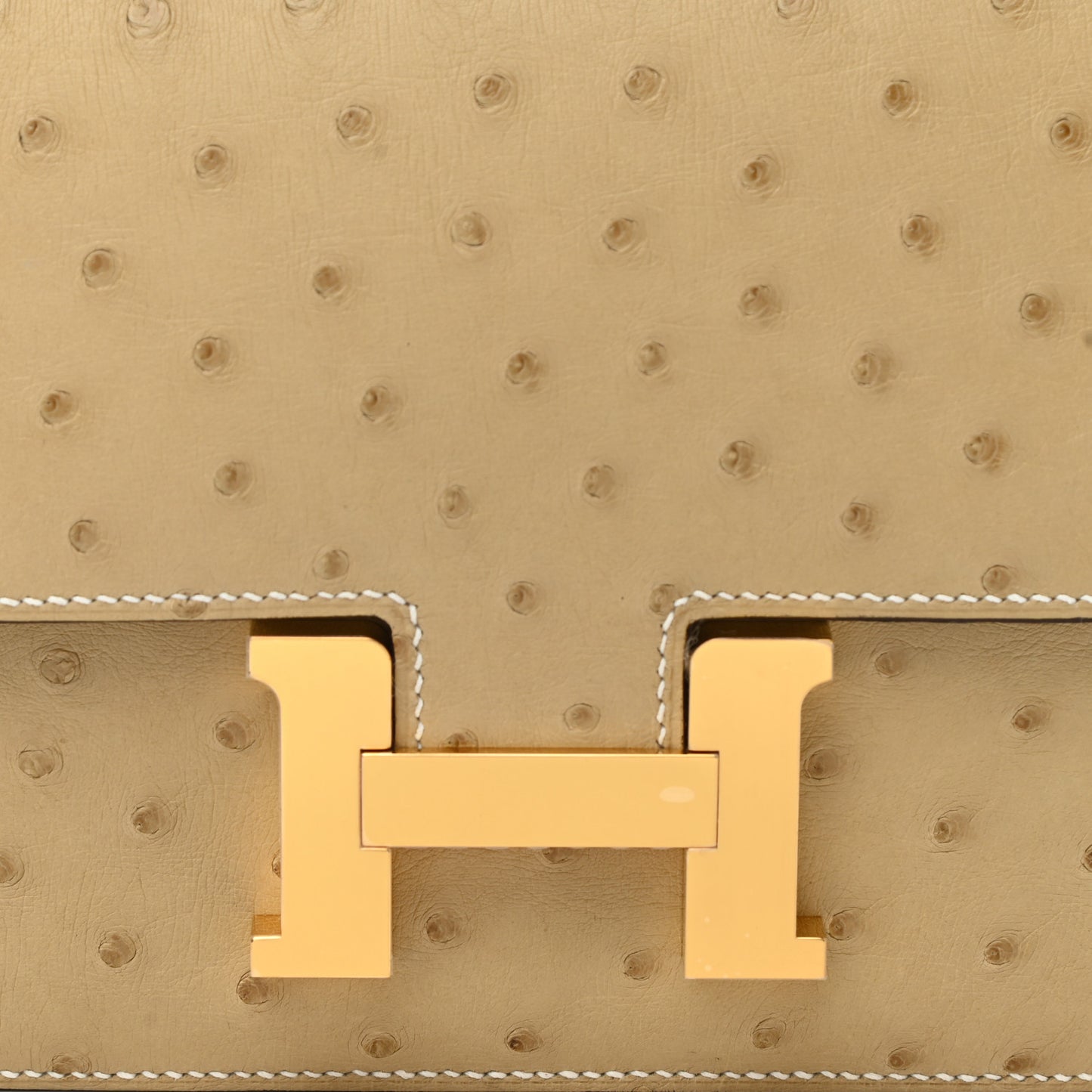 Ostrich Constance 18 Trench
