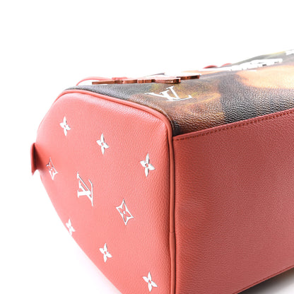 Louis Vuitton Masters Da Vinci Speedy 30 5 of 13