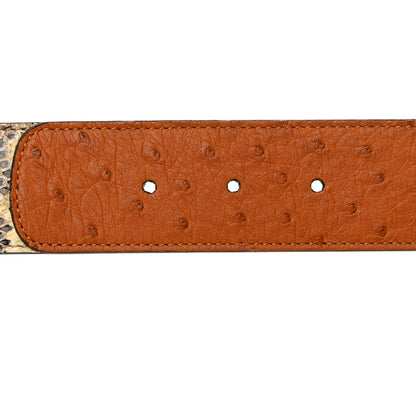 Gucci Ostrich Snakeskin Double G 40mm Belt 75 30 Gold Cloud Butter Ivory Paradise Cloud 5 of 5