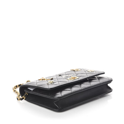 Chanel Aged Calfskin Quilted Lucky Charms 2.55 Reissue Wallet On Chain WOC Black 4 of 12
