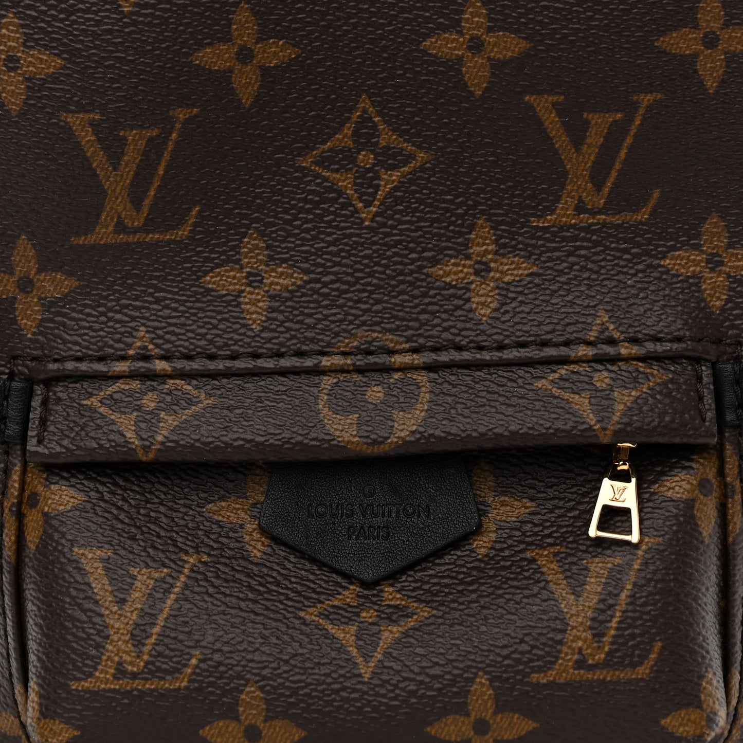 Monogram Palm Springs Backpack Mini