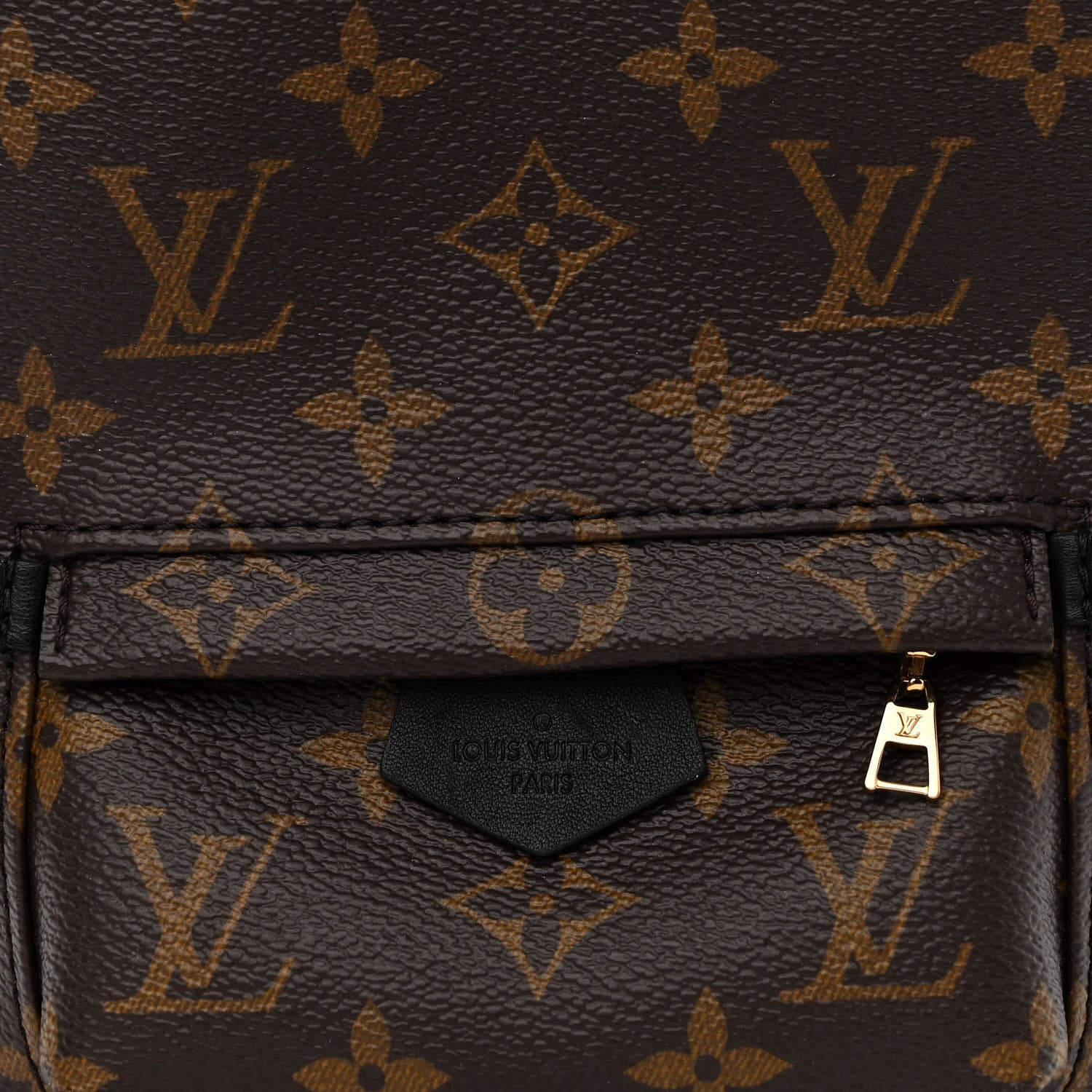 Louis Vuitton Monogram Palm Springs Backpack Mini 7 of 10