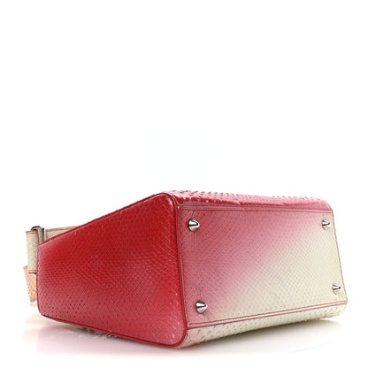 Christian Dior Snakeskin Ombre Medium Lady Dior Red White 4 of 11