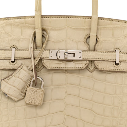 Hermes Matte Alligator Birkin 25 Beton 8 of 12