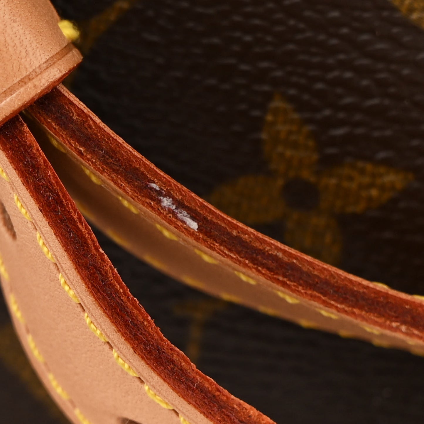 Monogram Montsouris GM Backpack